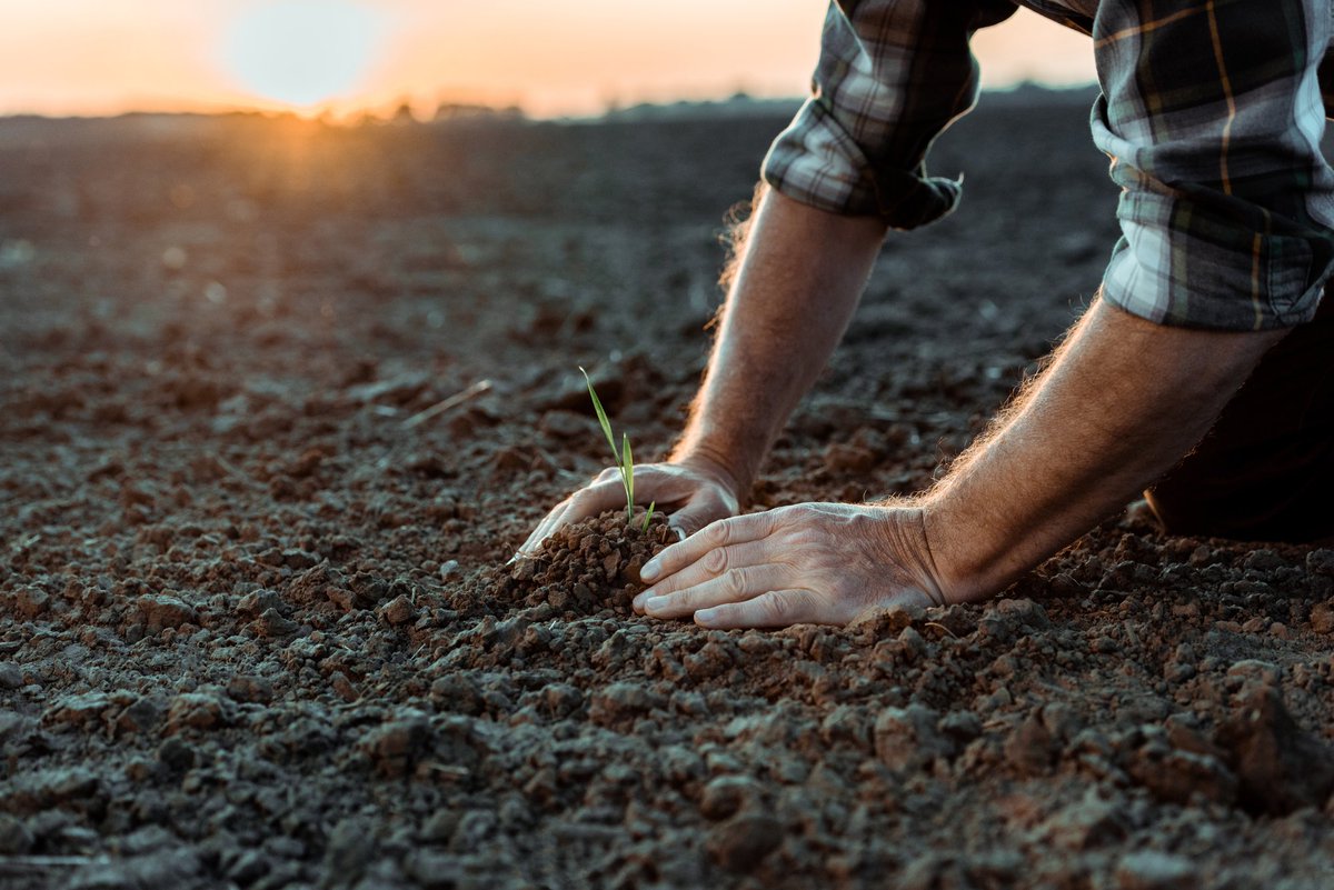 WineNewsIt's tweet image. Per la #tenuta dell’#agricoltura e dei #territori la soluzione è la #tutela delle #areerurali. L’appello #LegacoopAgroalimentare (con il presidente #CristianMaretti), dopo la pubblicazione della relazione della #CommissioneEuropea: “mantenere alta l’#attenzione”,