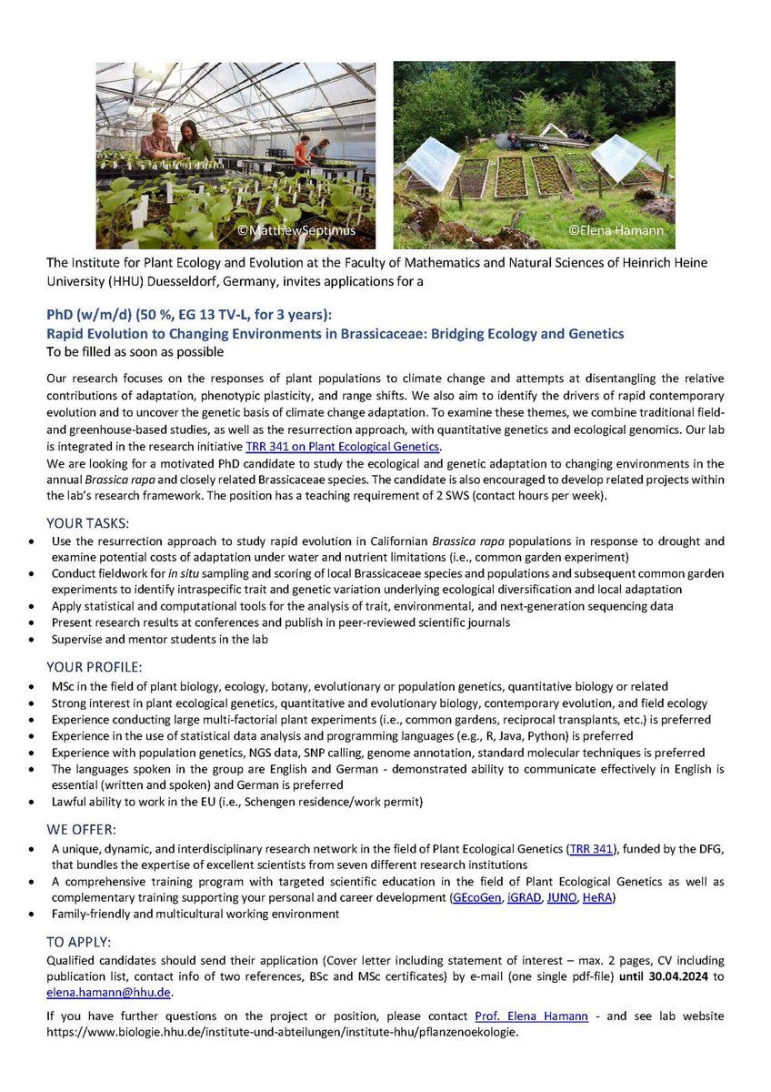 📌Happy to advertise 1 Postdoc and 1 PhD position in Plant Ecological Genetics @HHU_de and @sfb_trr341. Interested in plant evolutionary ecology and genetics, like working in the field, greenhouse and lab? Join the team, apply by 30.04.24 ⏰ Lab website: biologie.hhu.de/en/insitutes/i…