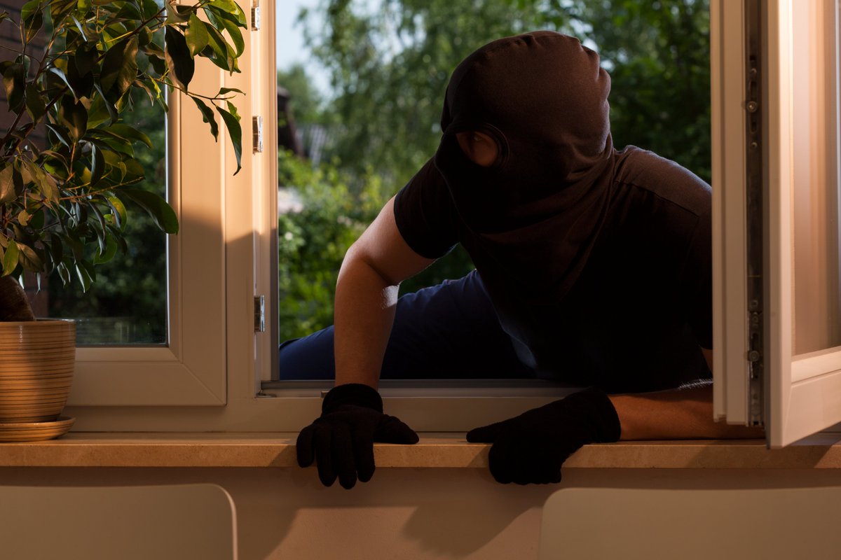 The lighter nights are an ideal time to review the security around your home & garden: ✅ Install motion-detected lighting ✅ Ensure gates & fences are in good condition ✅ Plant thorny hedges ✅ Consider gravelling your drive or parts of your garden ✅ Lock sheds & garages