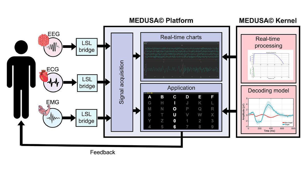 ⌛️ Time's ticking! Don't miss out on our April 16th #webinar with <a href="/medusabci/">MEDUSA©</a> founders, <a href="/edsanvaz/">Eduardo Santamaría Vázquez</a> &amp; <a href="/CagigalVictor/">Víctor Martínez-Cagigal</a>. Dive deeper into #neurotech and #BCI and see how they're innovating non-invasive Brain-Computer Interfaces. 🧠

🔗 Secure your spot here: neuroelectrics.com/webinar/845527…