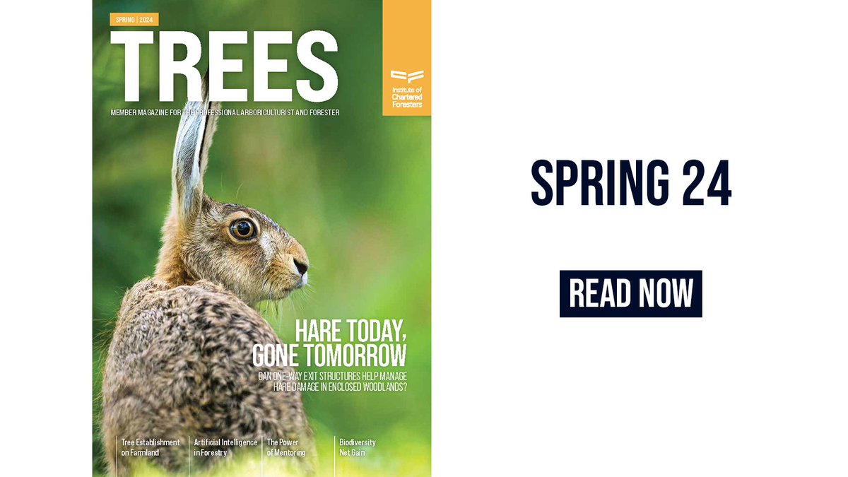 The Spring 2024 edition of TREES is now available to read on the @TheICF Member's Area, featuring articles on biodiversity net gain, artificial intelligence, #TPBE5 and managing hares in enclosed planting sites. Read now 👉 bit.ly/3DnPUjm