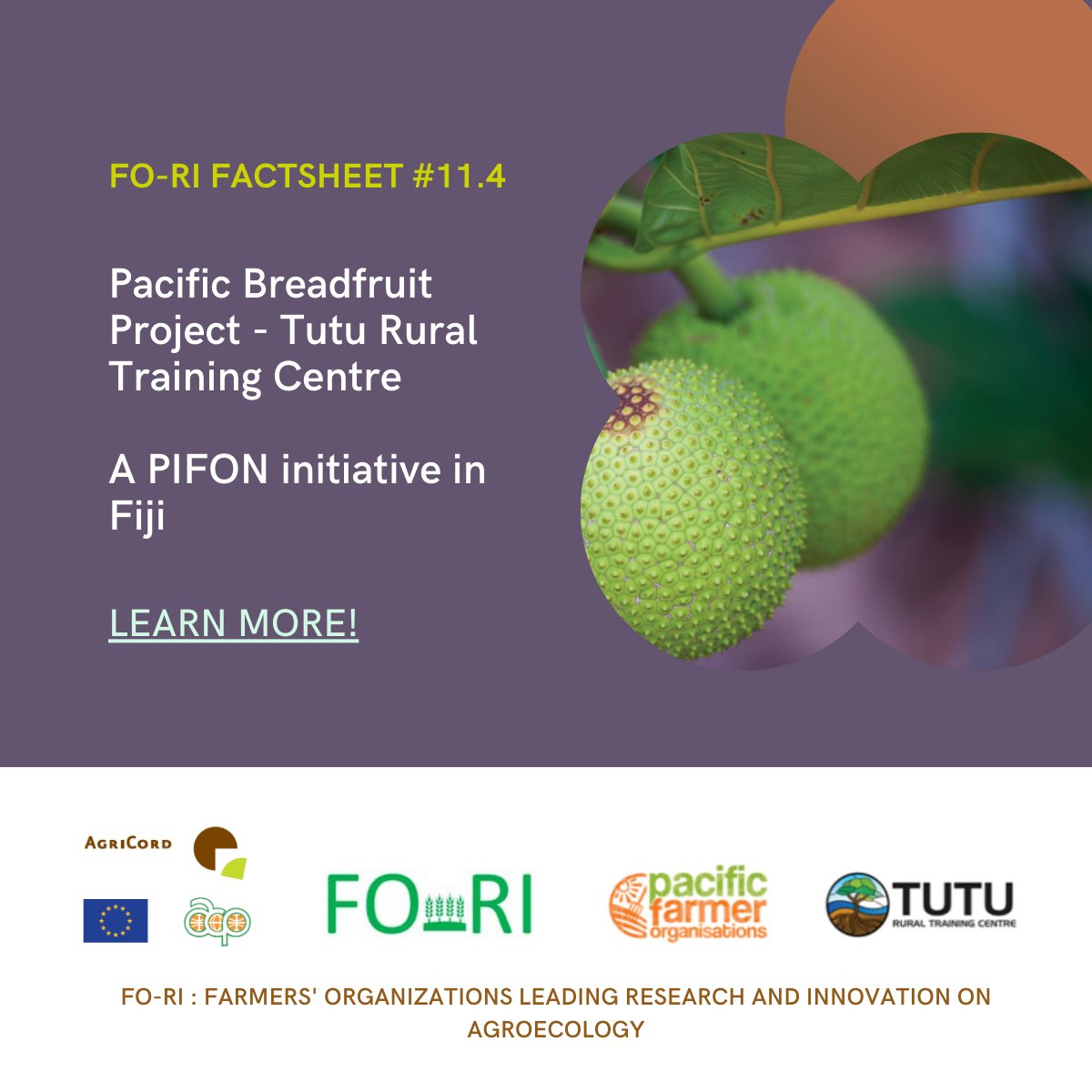 👩‍🌾By now, you probably know that, in 𝗣𝗮𝗰𝗶𝗳𝗶𝗰 𝗜𝘀𝗹𝗮𝗻𝗱𝘀, it’s all about #Breadfruit through the #FORI Programme! 🌱 Supported by the @EU_Commission & @PressACP 📌 𝗖𝗵𝗲𝗰𝗸 𝘁𝗵𝗲 𝗙𝗶𝗷𝗶'𝘀 𝗙𝗢𝗥𝗜 𝗙𝗮𝗰𝘁𝘀𝗵𝗲𝗲𝘁 𝗵𝗲𝗿𝗲: agricord.org/sites/default/… #Farmers