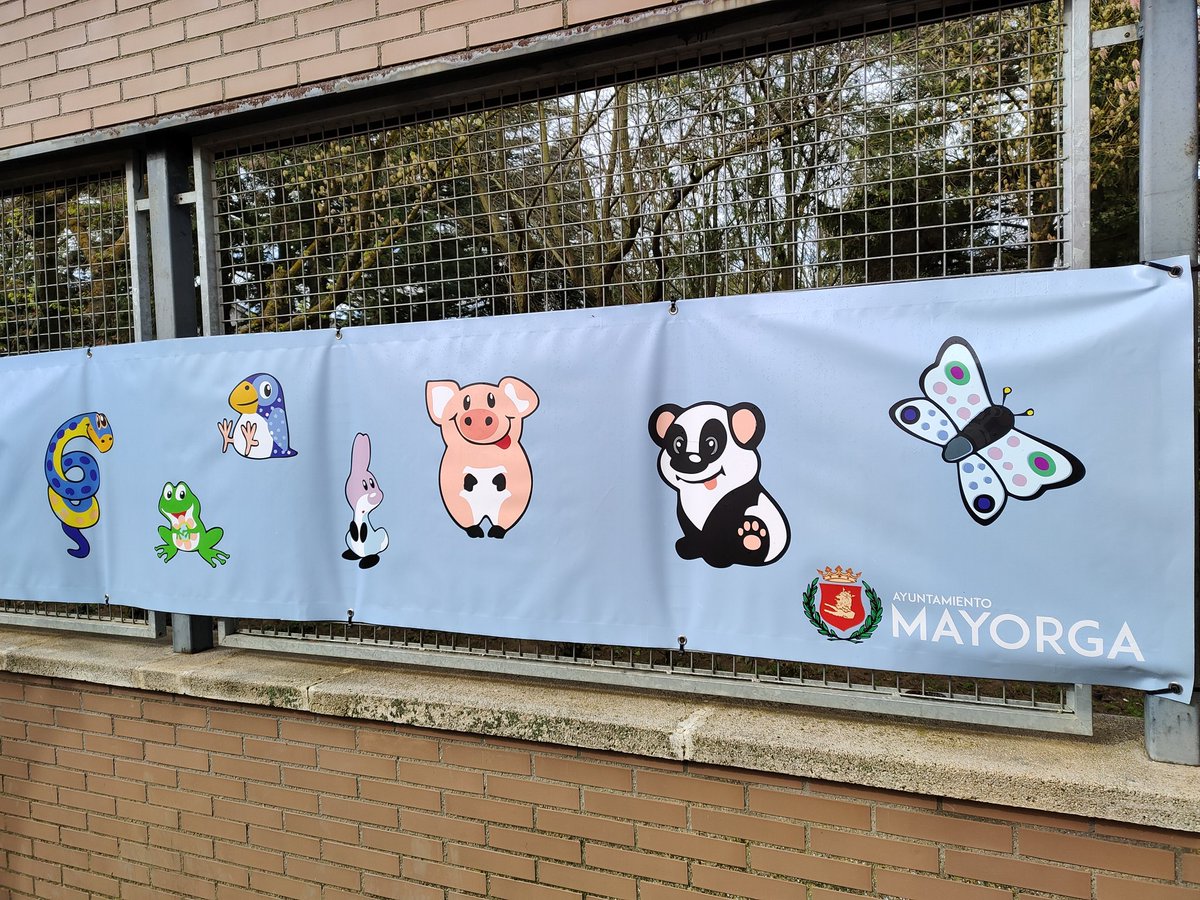 ✨CEIP “San Francisco” (Mayorga)✨💚🇪🇸 🇬🇧 🇫🇷 tweet media