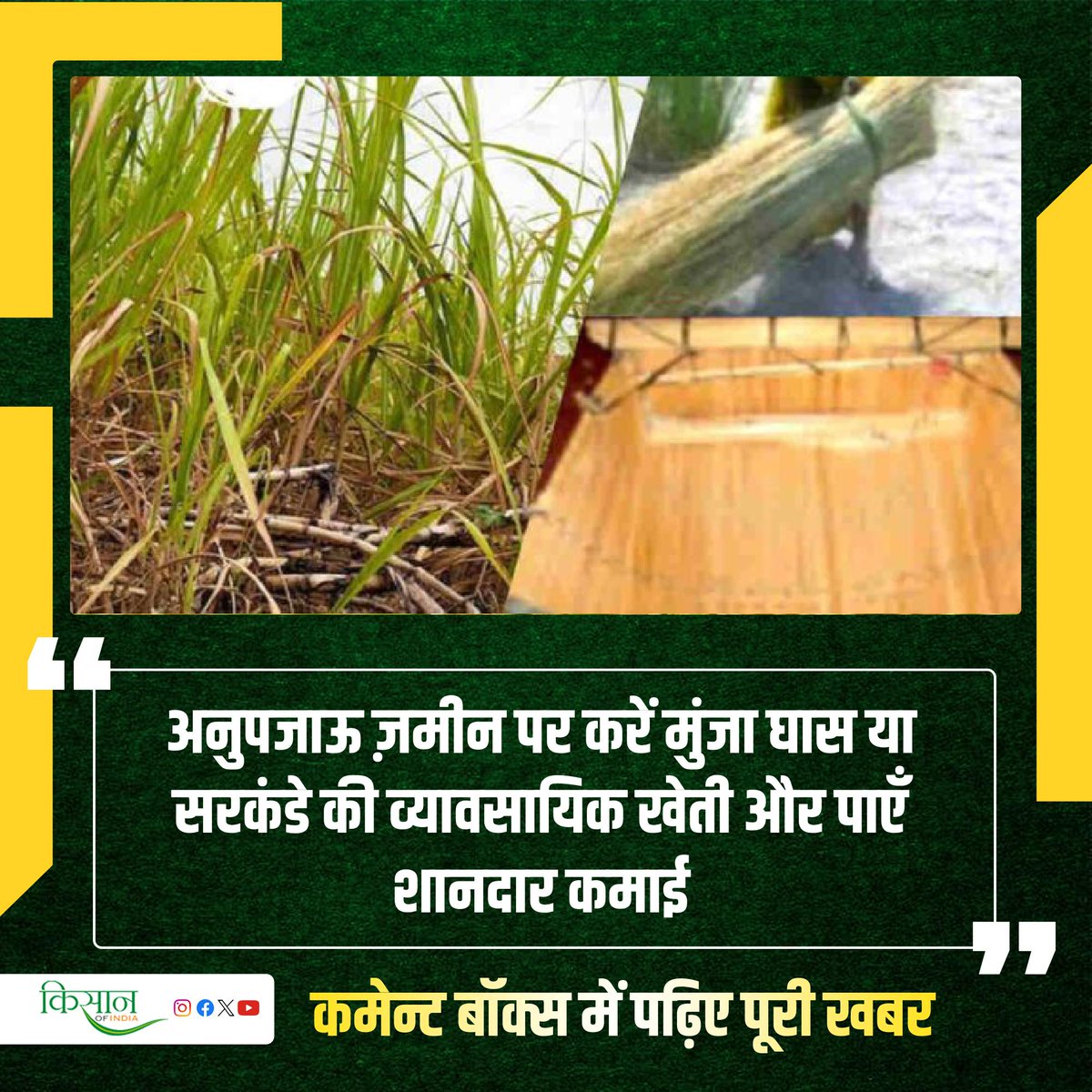 कैसे करें मुंजा घास की वैज्ञानिक खेती? इस खेती के लिए सिंचाई और खाद की ज़रूरत नहीं

#KisanOfIndia #Agriculture #ViralStory #GrassFarming