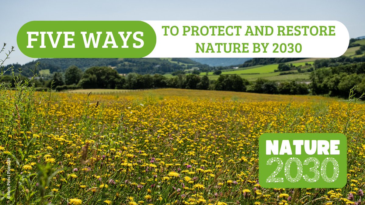 100 of the country's leading environmental and health organisations & people around the country are calling for politicians to commit to 5 big actions for nature 🌱
Will you join them?
Sign our #Nature2030 letter now to demand nature’s recovery: bit.ly/nature_2030