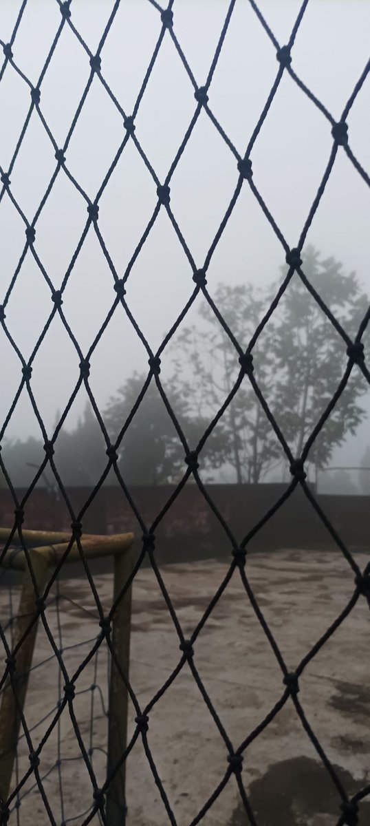 mirableone's tweet image. 