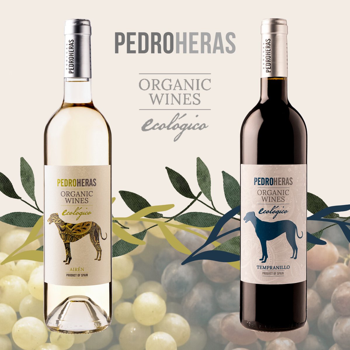 ✨🍇 ORGANIC WINES 🍇✨
Ya disponibles en nuestra tienda online.