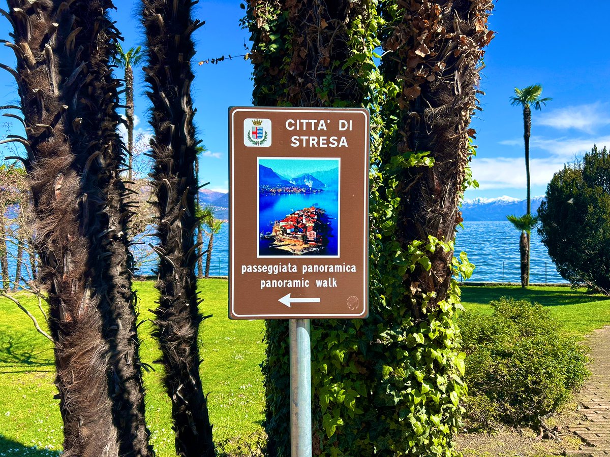 Adriano Del Monte tweet media