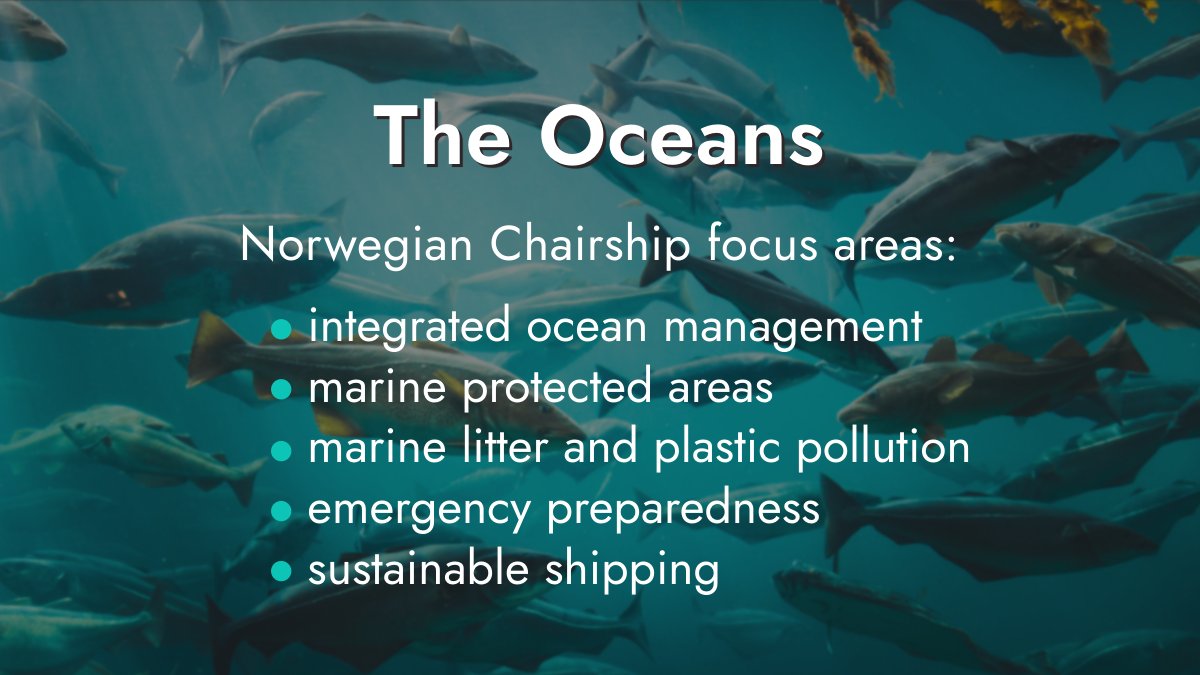 A combination of increasing ocean activity, rapid climate change & sea ice loss puts growing pressure on the Arctic marine environment. Norway's Arctic Council Chairship shines a spotlight on the oceans. Learn how the Council tackles marine issues: arctic-council.org/explore/topics…
