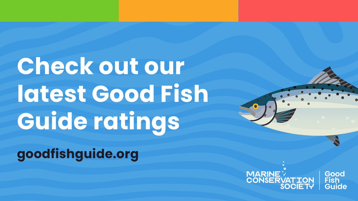 Do you eat fish or seafood? Want to make sure that your choosing #sustainable options? We can help 🐟 We’ve just updated our #GoodFishGuide with the latest research that shows what fish to avoid if you want to protect our ocean Take a look mcsuk.org/goodfishguide/