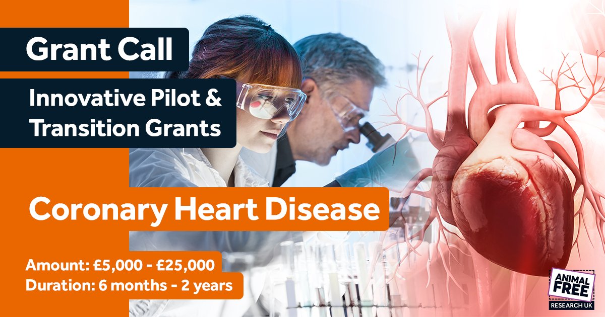 CORONARY HEART DISEASE GRANT CALL: Innovative animal replacement pilot and transition grants in coronary heart disease research. For full details - animalfreeresearchuk.org/grants/pilot-t… Deadline for applications is 5 pm on 19th April 2024. #animalfreeresearch #grants #researchgrants
