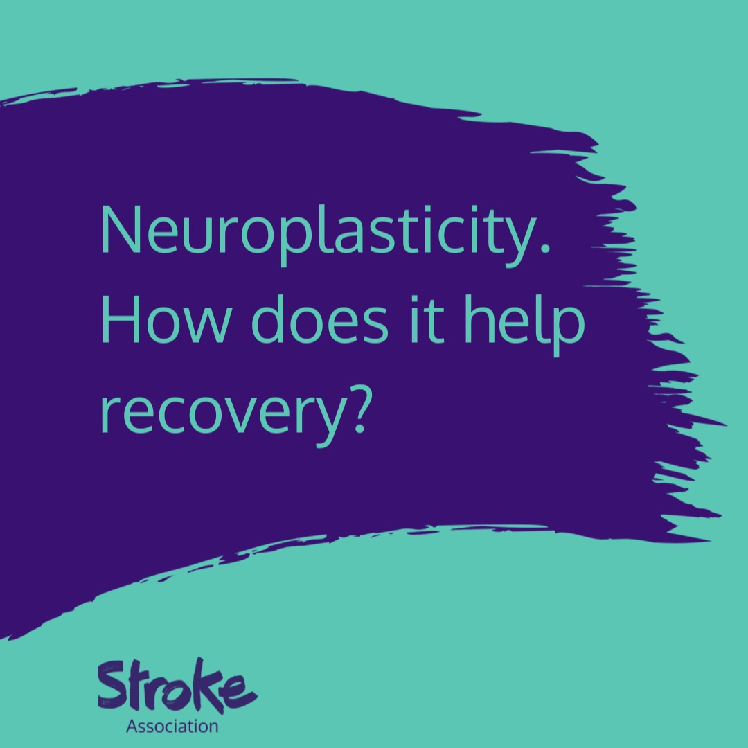 Your brain is amazing! 🧠 ♻️ After a stroke, parts of the brain die. But rather than give up, your brain can rewire itself to avoid the areas affected by the blood clot or bleed. Neuroplasticity is the reason recovery can continue well into the future: bit.ly/3LXV8ct