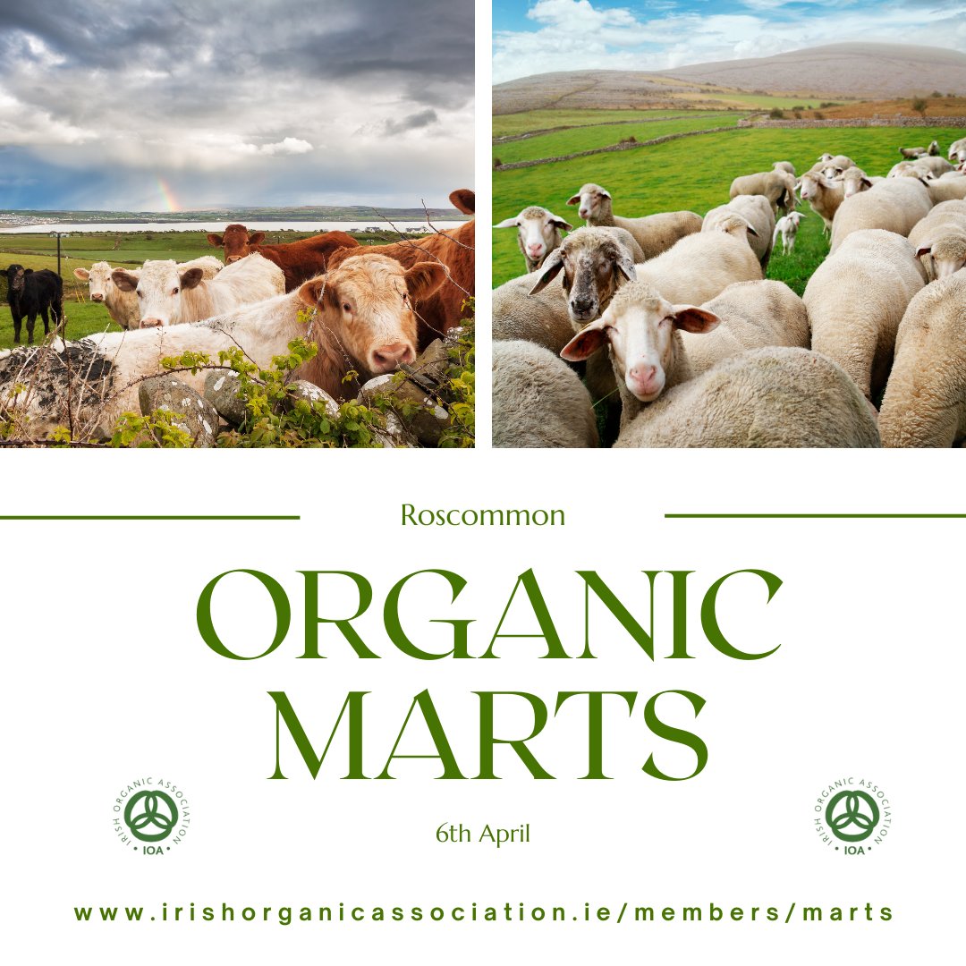 Roscommon Organic Mart happening tomorrow - full list of organic marts can be found on our website irishorganicassociation.ie/members/marts

#organicmartsireland #organic4everyone