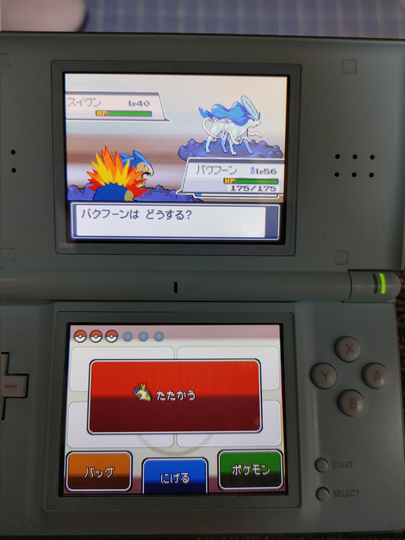 一夜 в X: „2247回でやけたとう産色違いスイクンゲットしました
