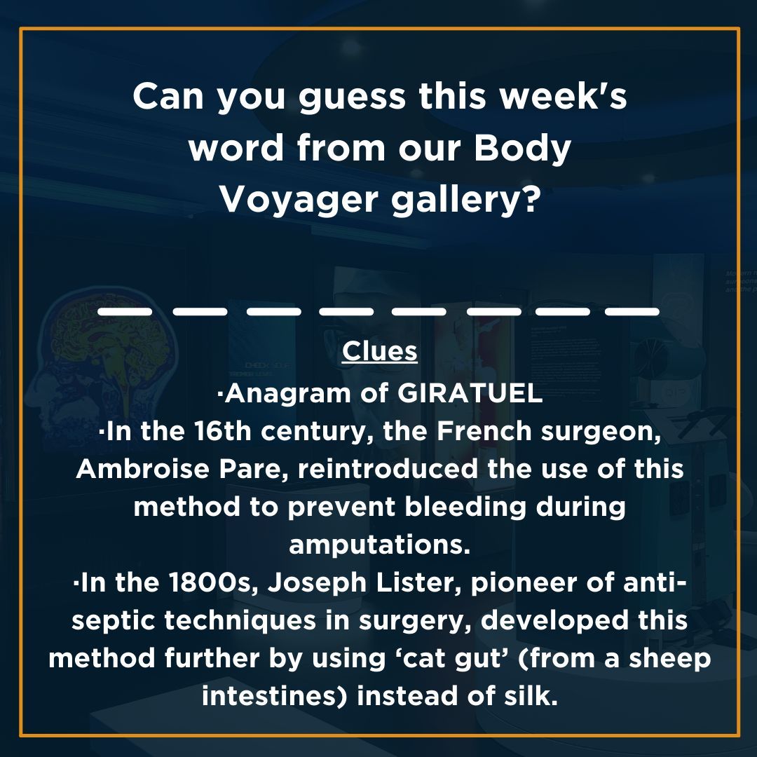 For the first #WordOnWednesday for April we are looking for a word from our Body Voyager gallery. Can you solve the anagram?