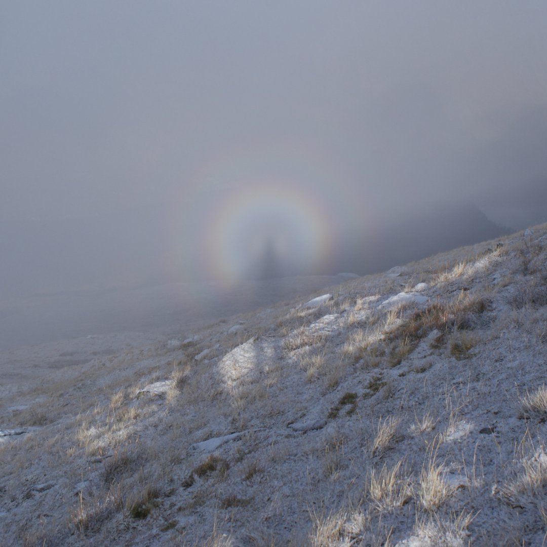 Have you ever experienced a #BrockenSpectre? 🌈 Colin Hughes was inspired to write a poem after witnessing this incredible phenomena : johnmuirtrust.org/resources/1587… Send us your #WildMoment for a chance to be featured on our website: johnmuirtrust.org/resources/351-… #NationalFindARainbowDay
