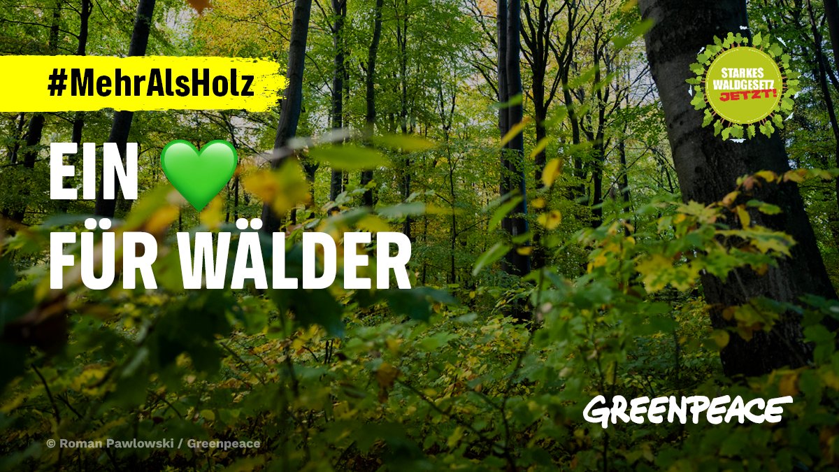 Warum wir Wälder lieben? Da gibt es mehr Gründe als in einen Tweet passen, aber hier unsere Top 3:
💚sie spenden saubere Luft,
💚sind Erholungsort,
💚beheimaten unzählige Arten
👉Du liebst Wälder auch? Unterschreibe unsere Petition für echten Waldschutz: bit.ly/49k39kQ