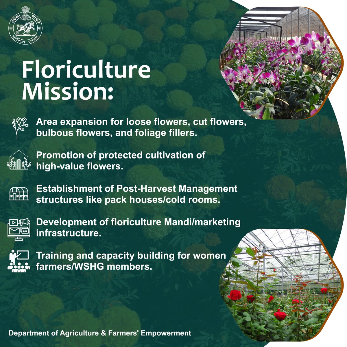 Flowers play a vital role in India's socio-cultural and religious practices, with a natural demand for worship and other purposes. To meet this demand, floriculture is booming in Odisha with a focus on empowering women farmers.