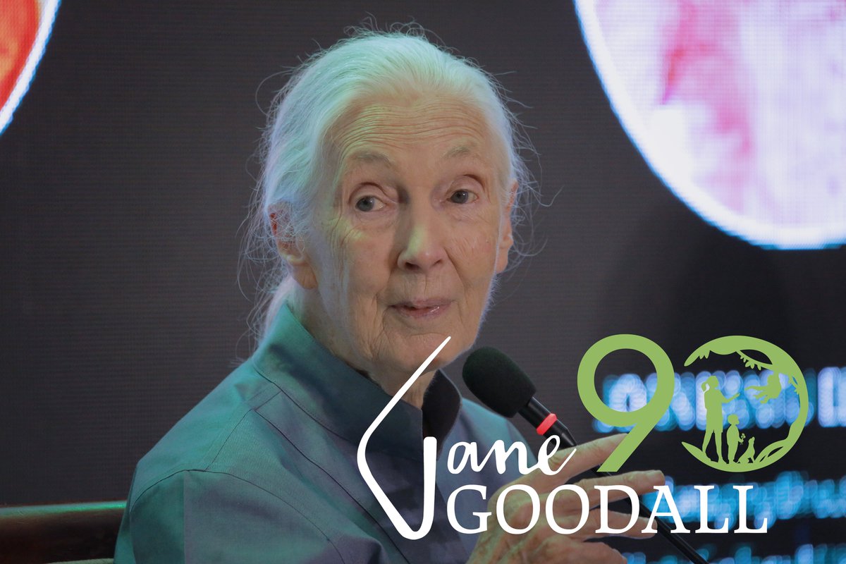 Join us in celebrating the remarkable journey of environmental icon Dr. Jane Goodall as she embarks on her 90th birthday year, spreading a message of 'Hope Through Action' across the globe! Happy birthday, Jane! @JaneGoodallInst