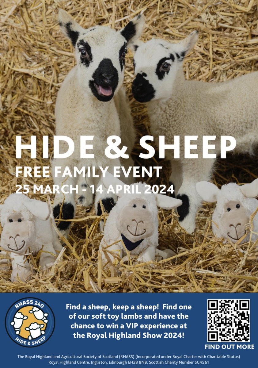 We’re proud to be taking part in the Scotland wide scavenger hunt with @the_rhass and we are hiding one of their lovely sheep in our store. We can’t tell you where it is but a little clue is… Love, love me ewe. Good luck @ScotlandRHShow @EastgateNess