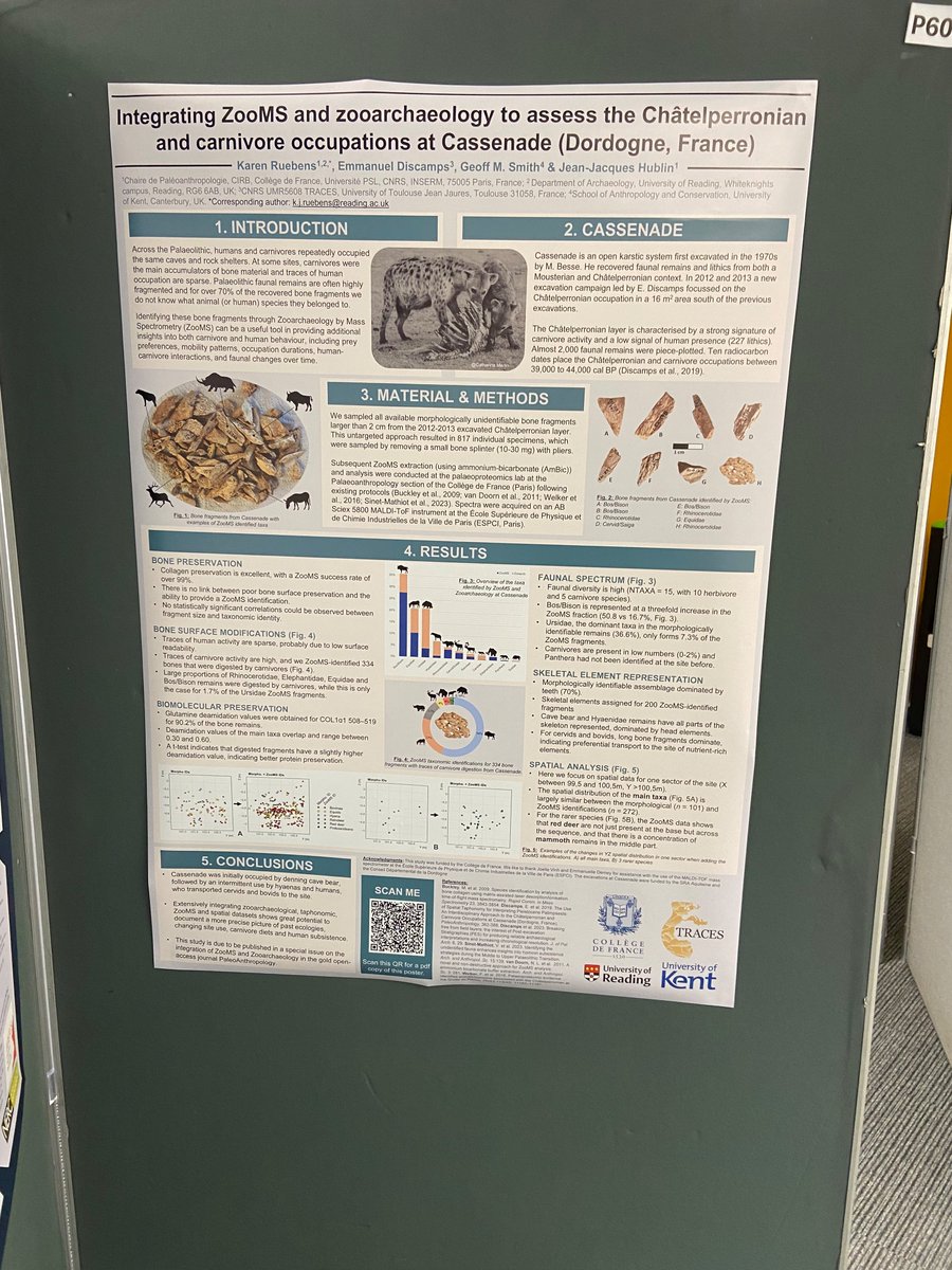 Stop by our poster @ukas2024 to learn all about the use of #ZooMS and #zooarch to look at carnivore and human occupations in the #Palaeolothic.
