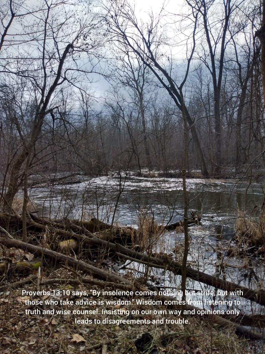 walkIN4Jesus's tweet image. Once again, I returned to the River Preserve County Park to hike the Benton Spillway Trail. #riverpreserve #benton #spillway #River #riverview #forest #forestphoto #hike #hiking #hikingadventures #nature #NaturePhotography #naturelovers #NatureBeautiful #advice #Wisdom #insolence