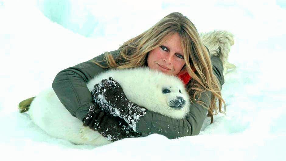 #lafemmeillustredujour
5 avril 1973, Brigitte Bardot met fin à sa carrière au cinéma pour se consacrer à la cause animale. 

Alertée par Marguerite Yourcenar dès 1968, elle mènera son premier combat contre le massacre des bébés phoques au Canada.
#vivezinspirés