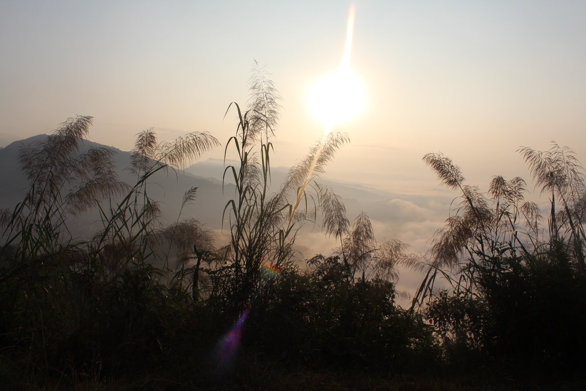 Good morning.
instagram.com/life.of.travel…