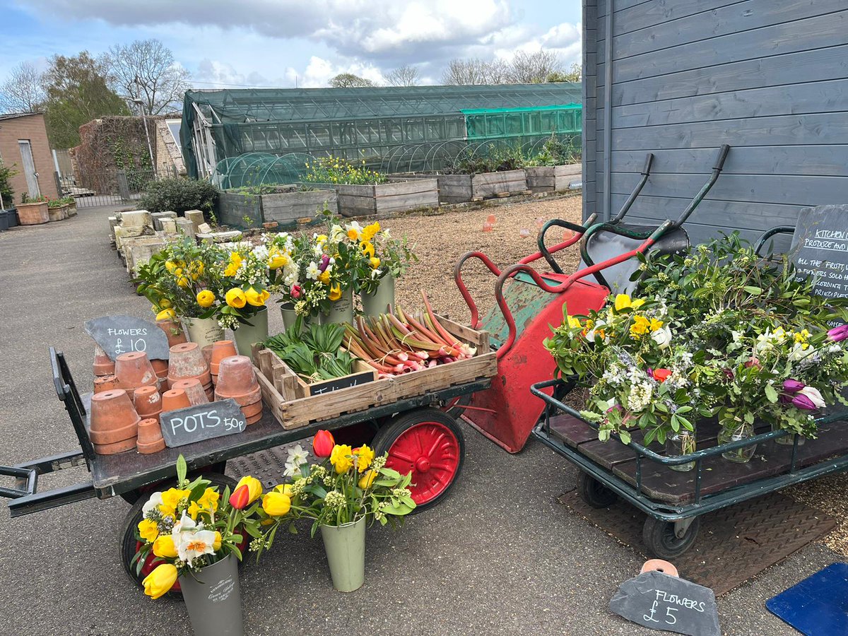 Looking for some flowers to liven up your lounge? Fancy some home grown veg for dinner? Head down to our Kitchen Gardens and pick up some brilliant goodies. Flowers Wed-Sat, produce Thurs & Sat. #Homegrown #Chiswick #Sustainability #ShopLocal