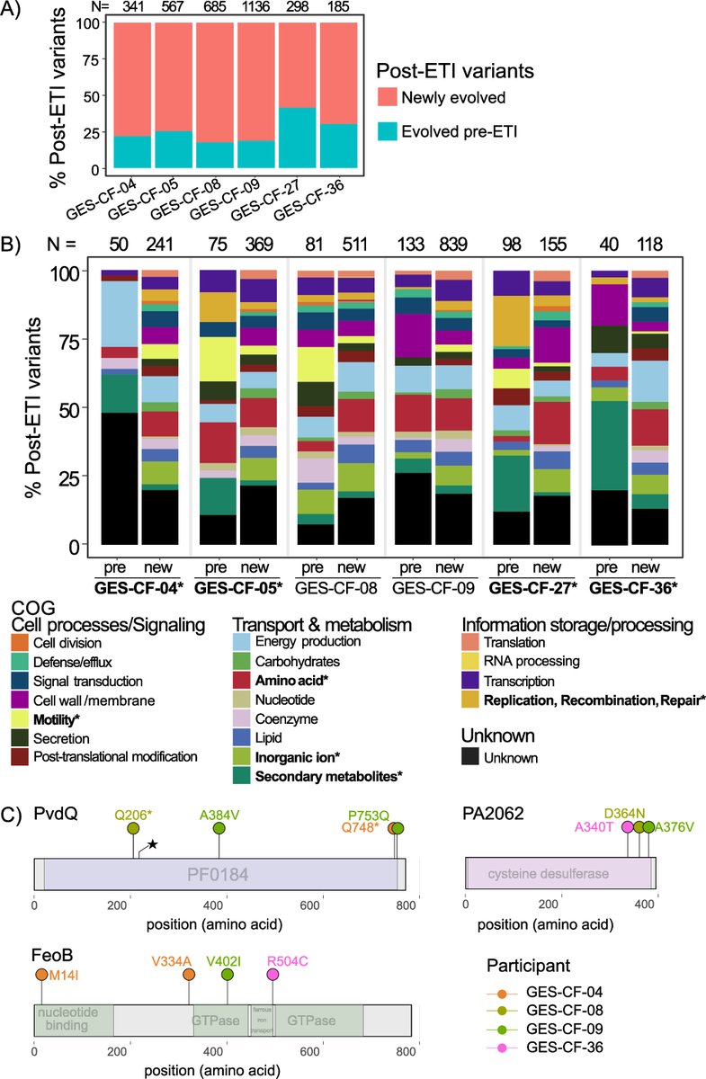 Persistence and evolution of Pseudomonas aeruginosa following initiation of highly effective modulator therapy in cystic fibrosis @mbiojournal by @catarmbruster et al from Jennifer Bomberger with @vscooper journals.asm.org/doi/10.1128/mb…