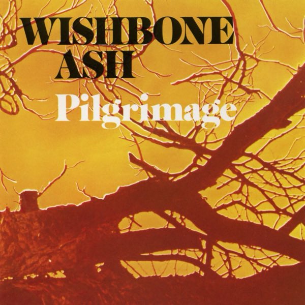 Listening to Wishbone Ash - Vas Dis #WishboneAsh #Pilgrimage #VasDis 요새 내 정신상태 같네