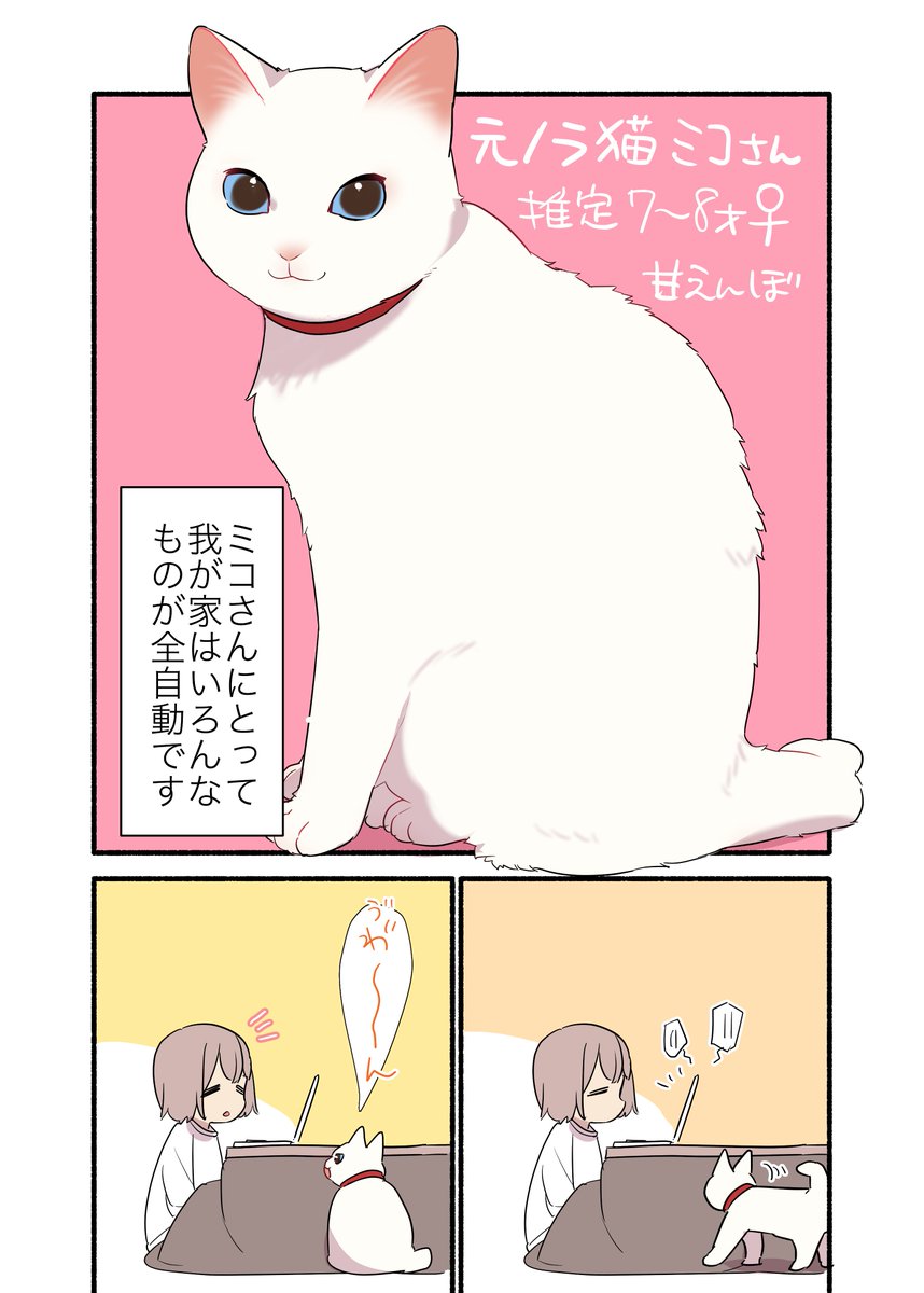 全自動の家に住んでる猫の話
(1/2)
 #漫画が読めるハッシュタグ
 #愛されたがりの白猫ミコさん 