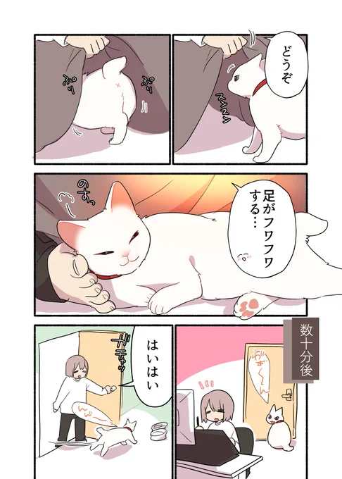 全自動の家に住んでる猫の話(2/2)#漫画が読めるハッシュタグ#愛されたがりの白猫ミコさん 