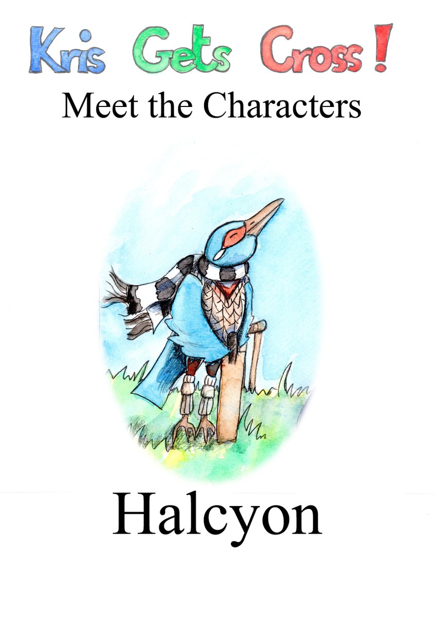 We thought we would take this week to say hello to some of the characters from our book Kris Gets Cross. Here is Halcyon.