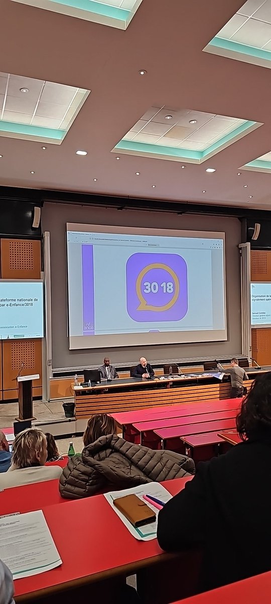 Virginie SELMI tweet media