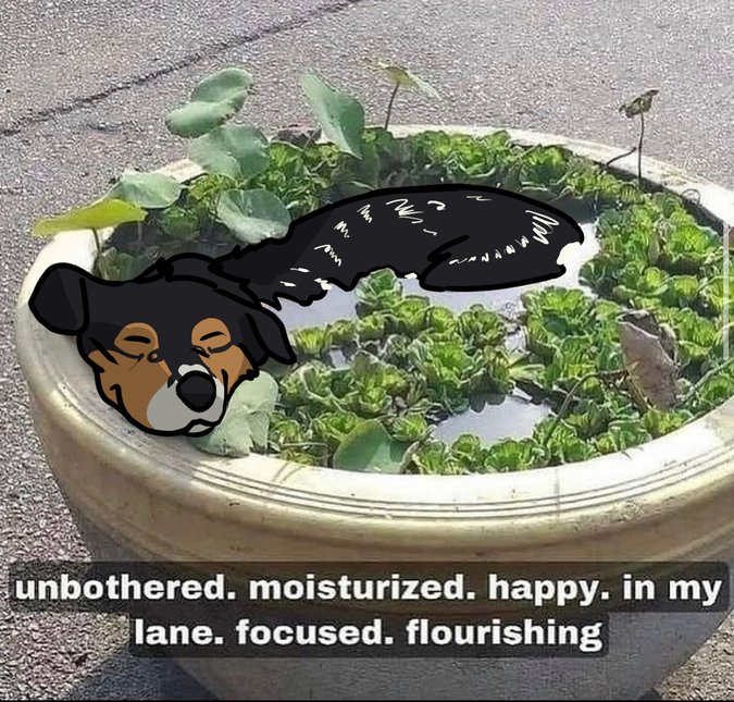 Best puppy had her first bath yesterday.