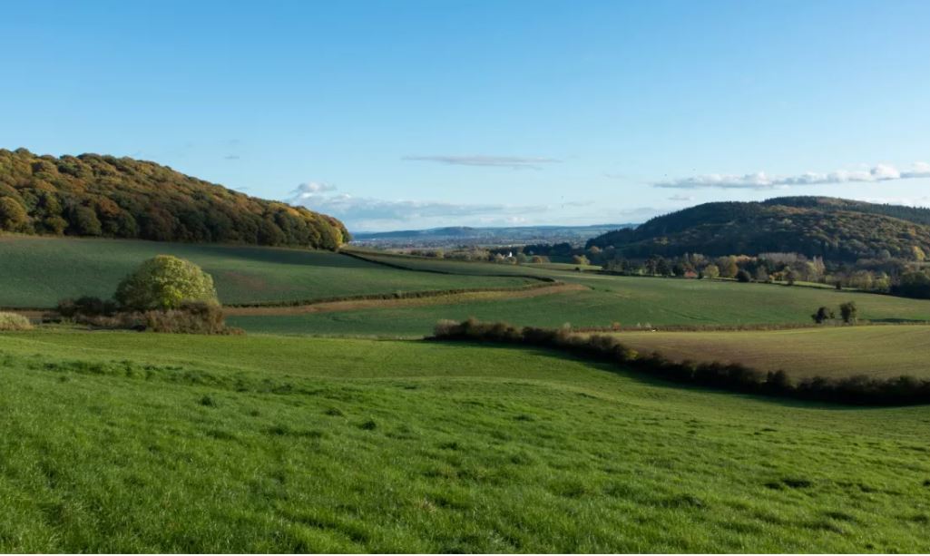 Located in the heart of Herefordshire, the 291 acres of woodland & arable land at Brinsop Court Farm offers ample income-generating opportunities. While it is currently being used for agricultural purposes, there is scope to maximise its green potential: struttandparker.com/properties/bri…