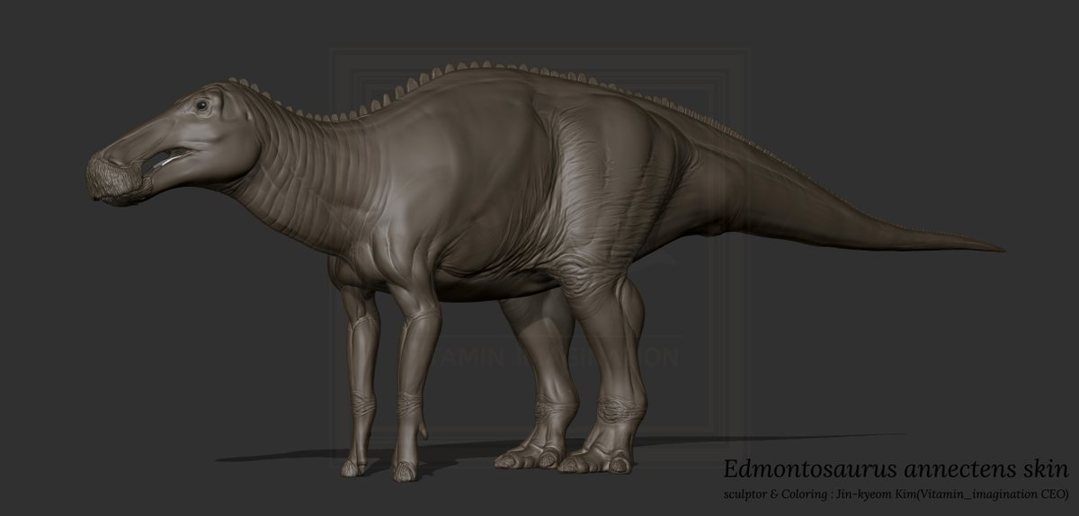 Edmontosaurus annectens skin W.I.P

#Edmontosaurus #annectens #zbrush