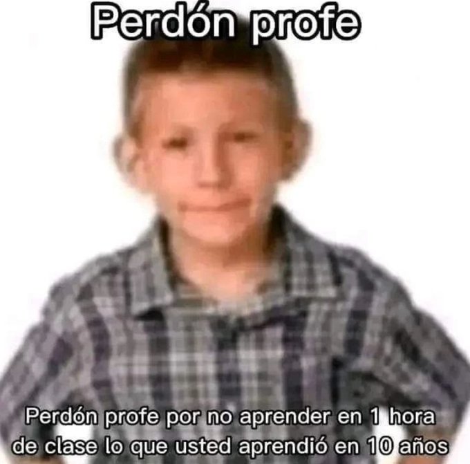 Perdón profe