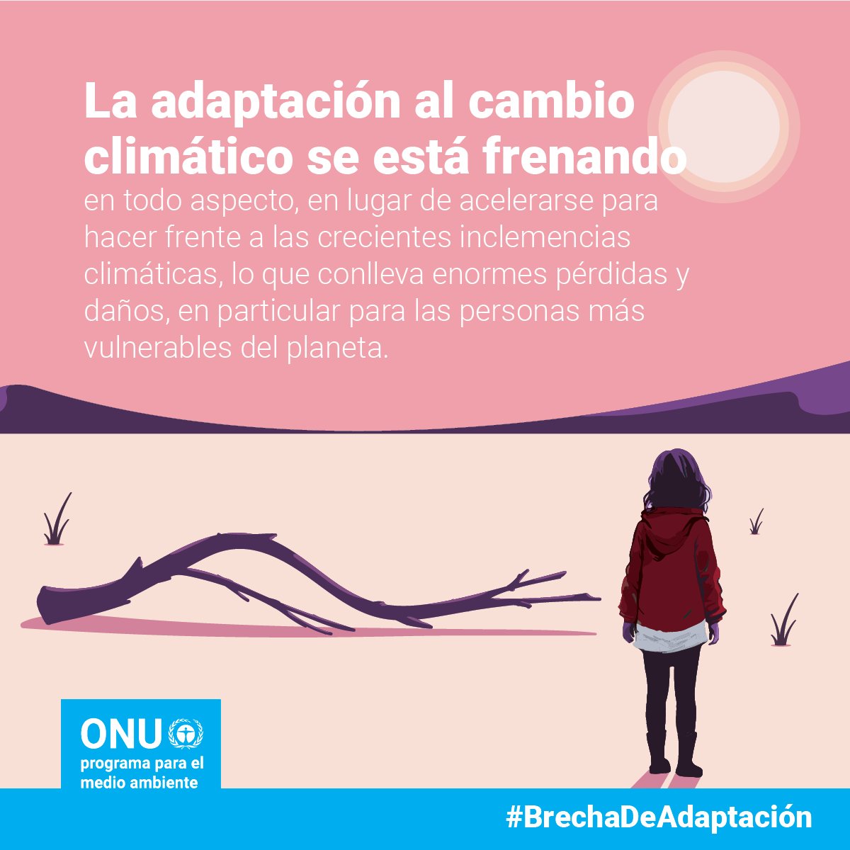 Programa ONU Medio Ambiente tweet media