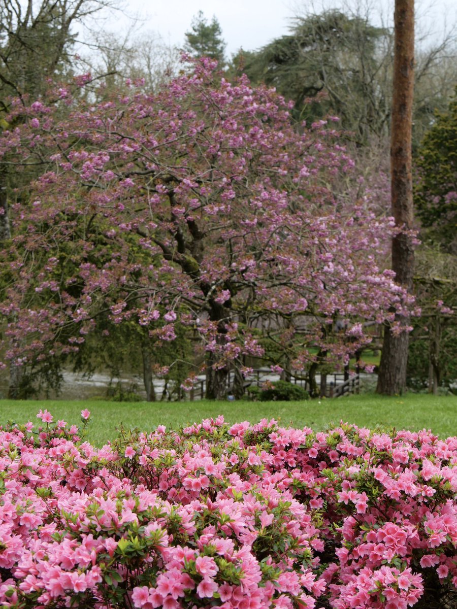 Parc Oriental tweet media