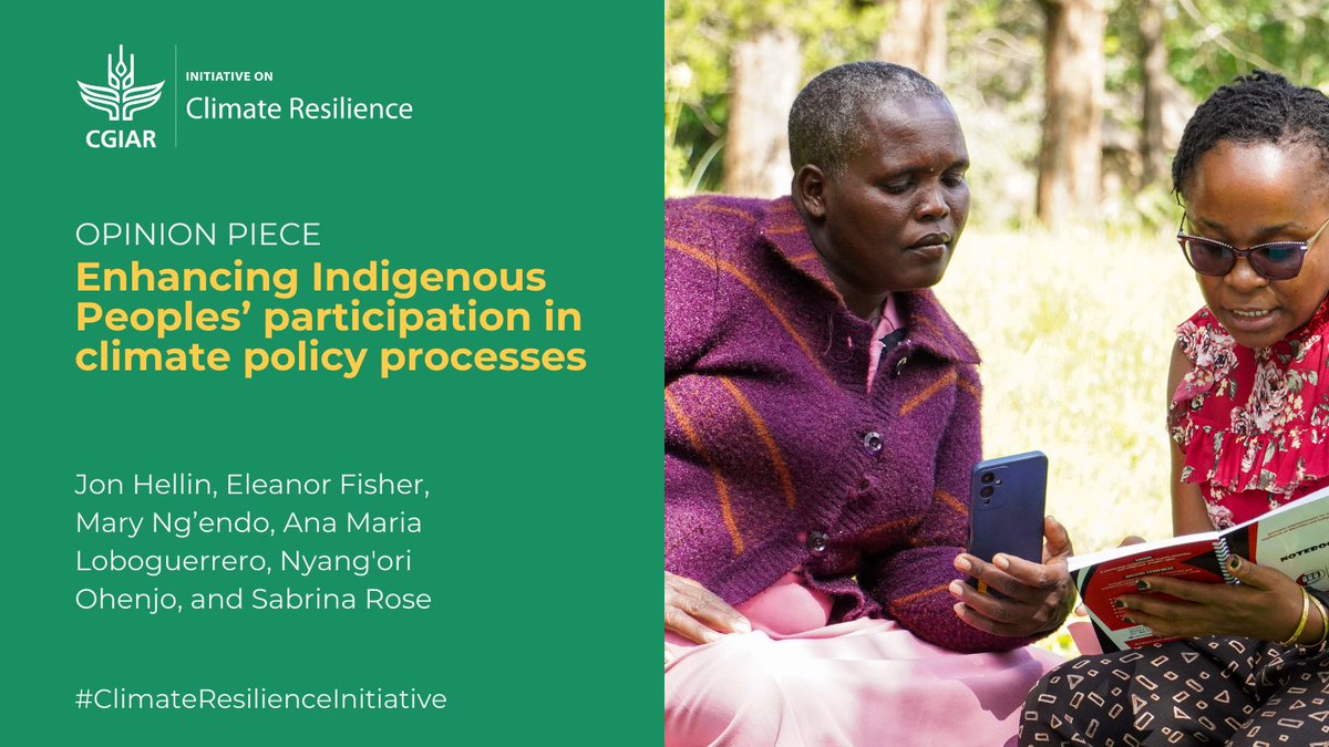 🔎 How can focusing more on #socialequity enhance the representation of Indigenous Peoples in climate policy processes?

READ: on.cgiar.org/3POqGnf #ClimateResilienceInitiative @CGIAR @PLOSClimate
@BiovIntCIAT_eng @irri @NordicAfrica @CEMIRIDE_KE