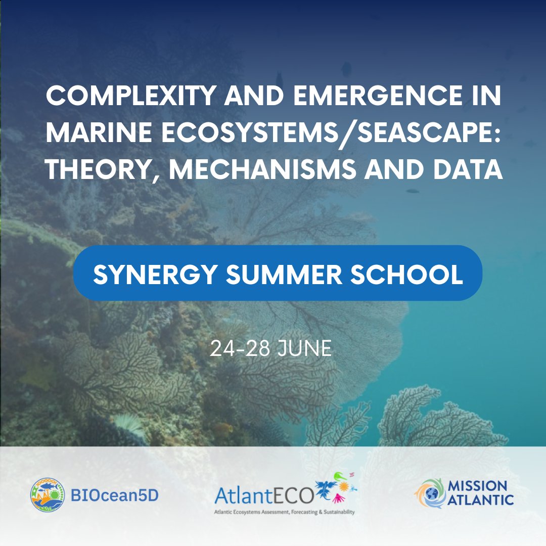 📚 Are you a PhD students working in marine sciences related fields ? Join the Synergy Summer School and learn about the most important theoretical and experimental challenges in the context of open ocean seascape ecology ! 👉Subscribe & get more info: marinetraining.org/node/5881