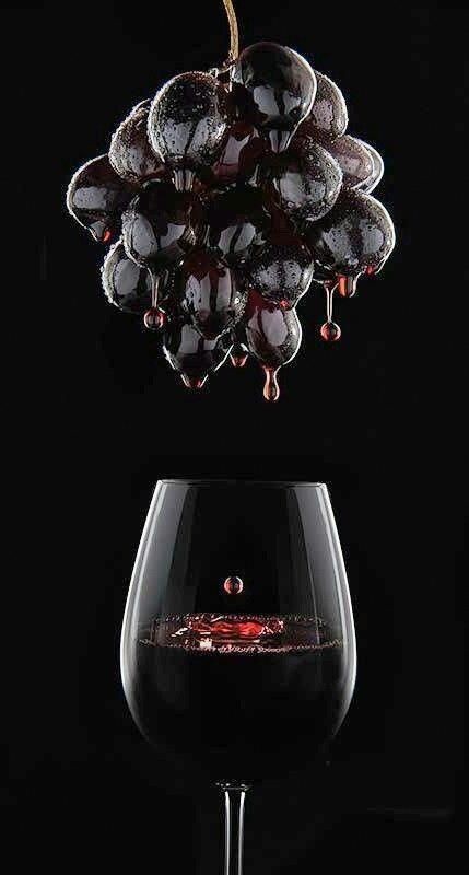 WineEvening's tweet photo. #WED #WineEveningDécalé What else? #winelovers #vin #wine #lesamoureuxduvin #Cheers #solidarite #courageavous
C'est la sagesse, aimer le vin, la beauté, le printemps, le printemps divin. Cela suffit. Le reste est vain.
Théodore de Banville https://t.co/ITYDqWZwZI