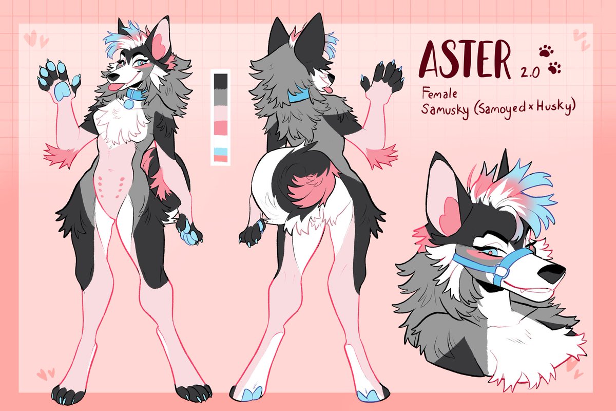 Aster 💌 tweet media