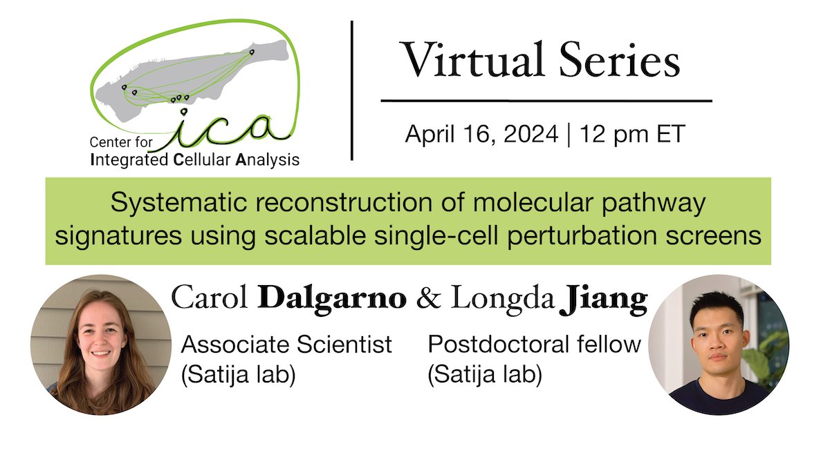 Our next @cegs_ica Virtual Seminar (12PM on 4/16) @carol_dalgarno & Longda Jiang use Perturb-seq+@ParseBio+@UltimaGenomics to perturb signaling regulators across cell lines & infer causal regulatory changes from scRNA-seq/spatial data. Free registration: nygenome.zoom.us/meeting/regist…