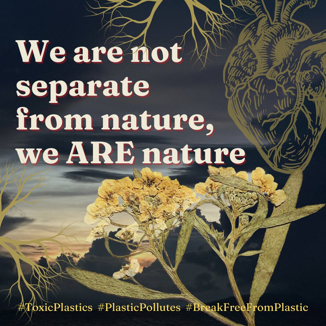 #Plastic was only mass produced from the 1940s onward: our elders know what the world looked like before plastic. Reuse, refill, repair, share, &amp; regenerate are the principles we need to guide us to individual, collective, &amp; systems change. 🌻 Sign on: bit.ly/global-plastic…