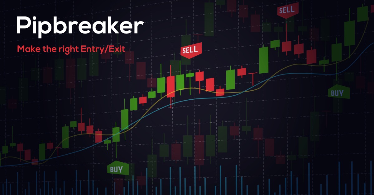 wetalktrade's tweet image. Get Pipbreaker in your trading gear to get rid of fear. Make confident entries with the best forex indicator. Get it today.
wetalktrade.com/best-indicator…

#pipbreaker #forextrading #accurateindicator #entry #exit #mt4 #mt5 #nonrepainting #wetalktrade