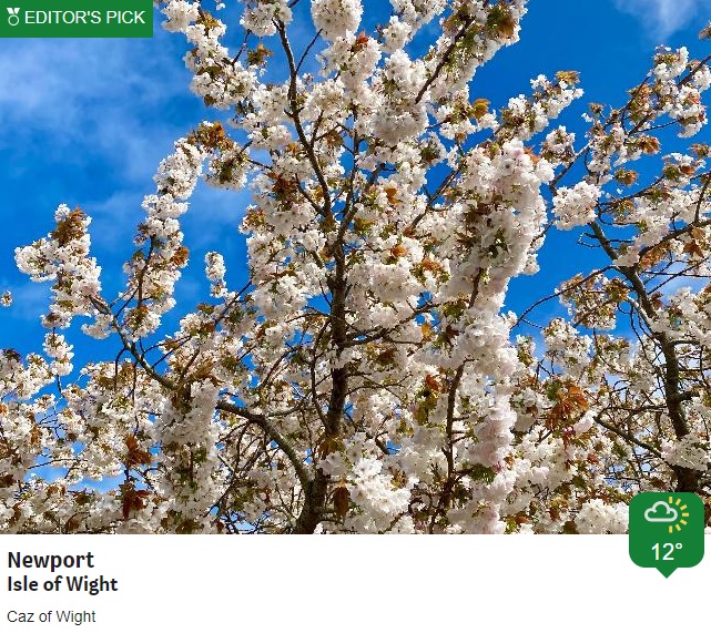 Here are some of your @BBCWthrWatchers pictures from across the south today. Alexis