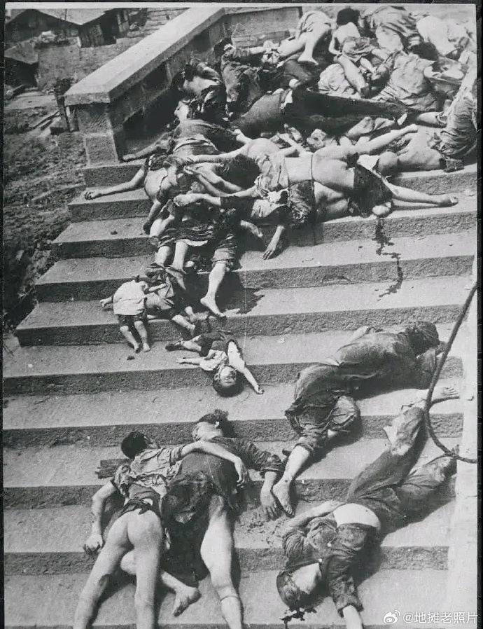 磊哥聊政经 tweet media